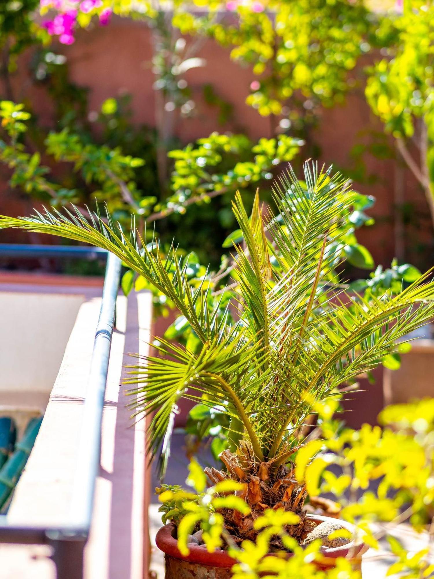 Riad L'Orange Bleue Марракеш Экстерьер фото